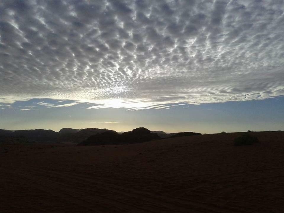 Wadi Rum Local Guide Camp Εξωτερικό φωτογραφία